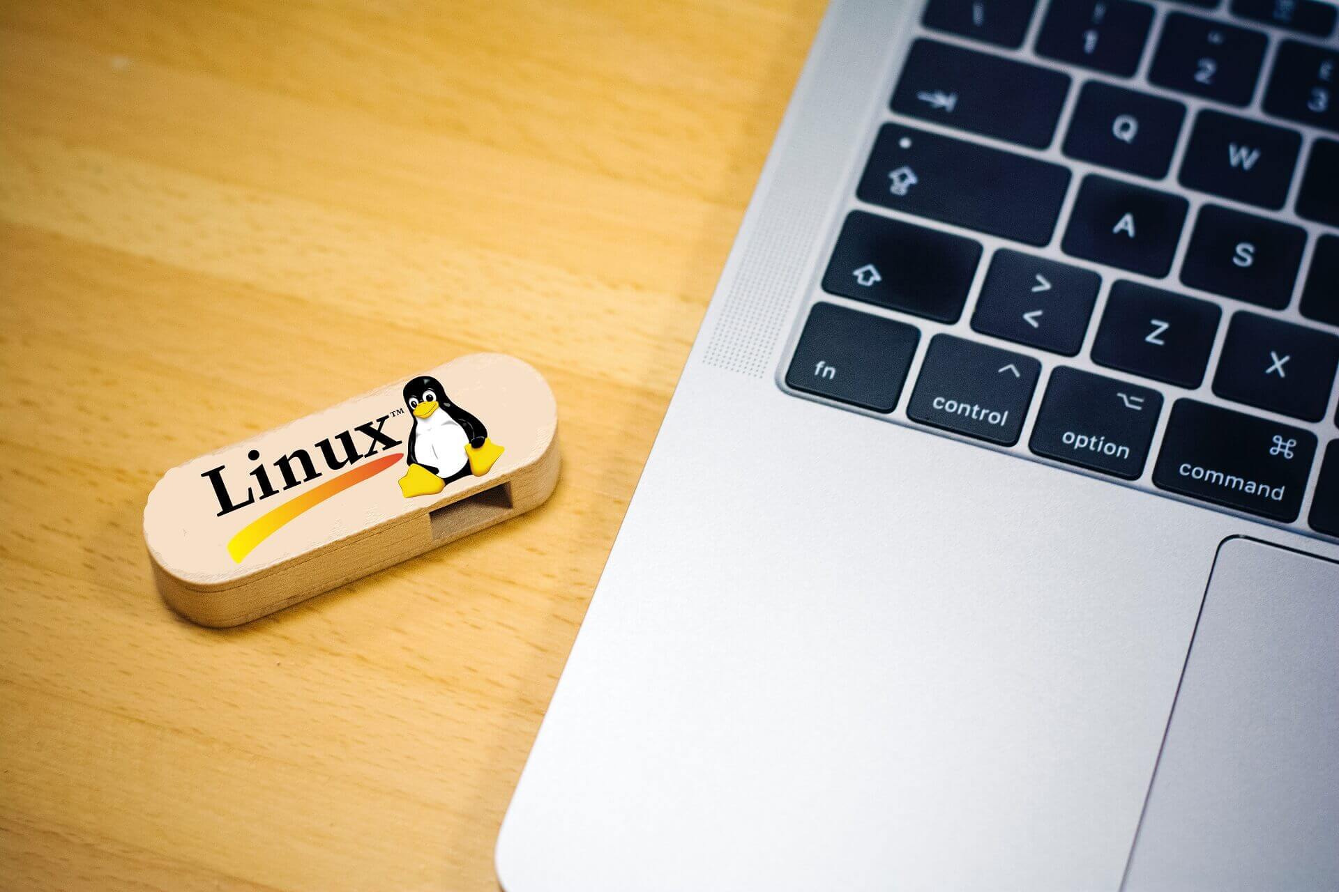 Installare Linux da USB
