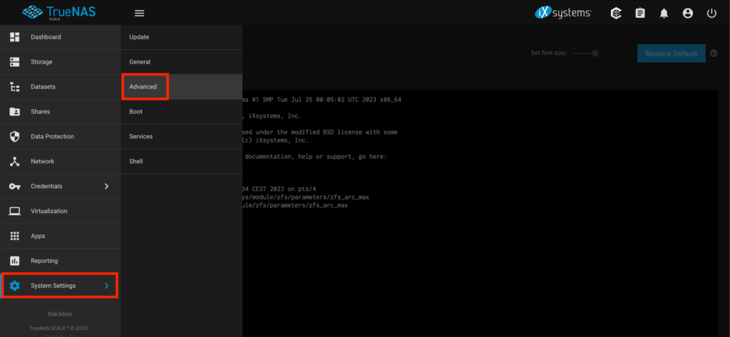 truenas-scale-arc-memory-cache-tuning-system-settings-advanced